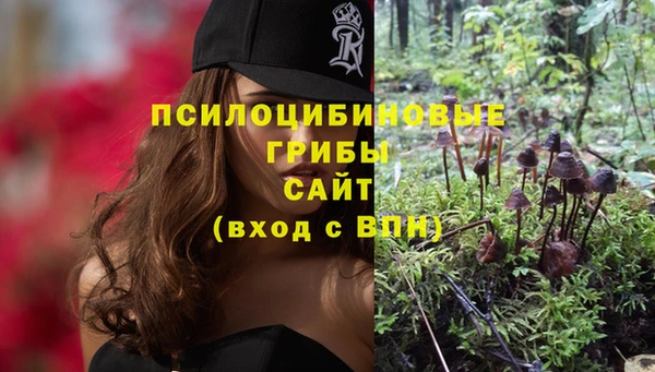 экстази Няндома