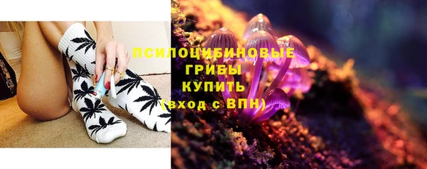 apvp Нягань