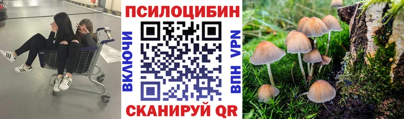 Купить где  Черногорск  Псилоцибиновые грибы GOLDEN TEACHER 